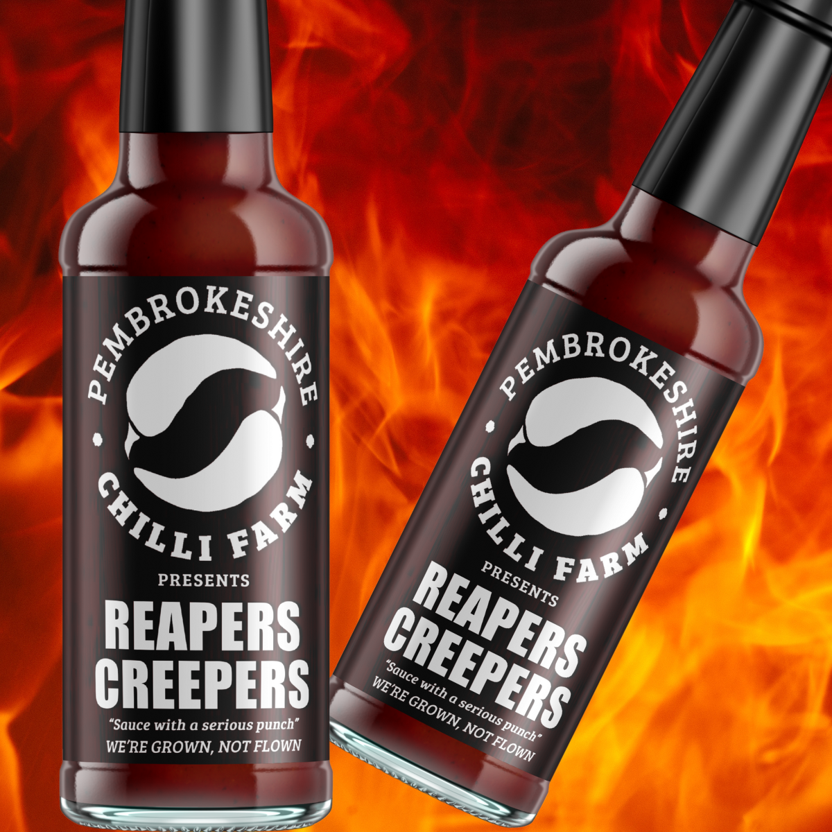 Pembrokeshire Chilli Farm hot sauce gift box featuring three varieties of hot chili sauces in a colorful packaging.