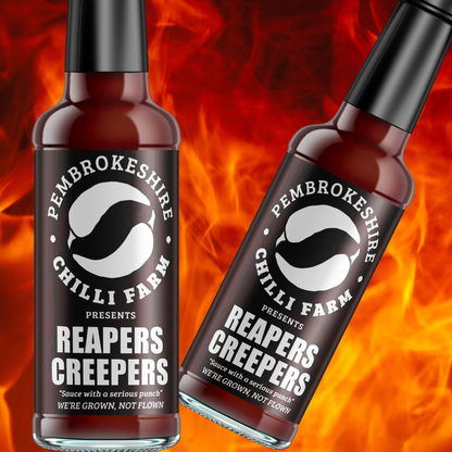 Pembrokeshire Chilli Farm hot sauce gift box featuring three varieties of hot chili sauces in a colorful packaging.