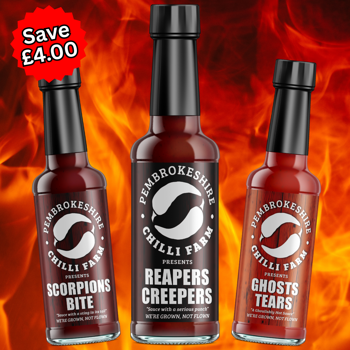 Pembrokeshire Chilli Farm hot sauce gift box with three spicy chilli sauces in a colorful presentation.