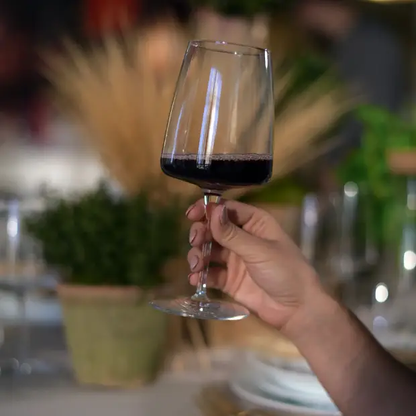Bormioli Rocco Planeo Red Wine Glasses - 480ml - Set of 4