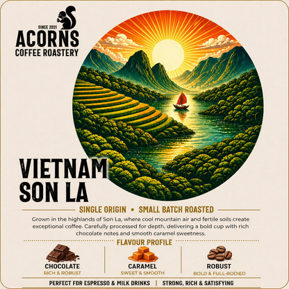 Medium roast Vietnam Son La Robusta coffee beans from Acorns Coffee & Cake, showcasing roasted coffee beans in a natural setting.