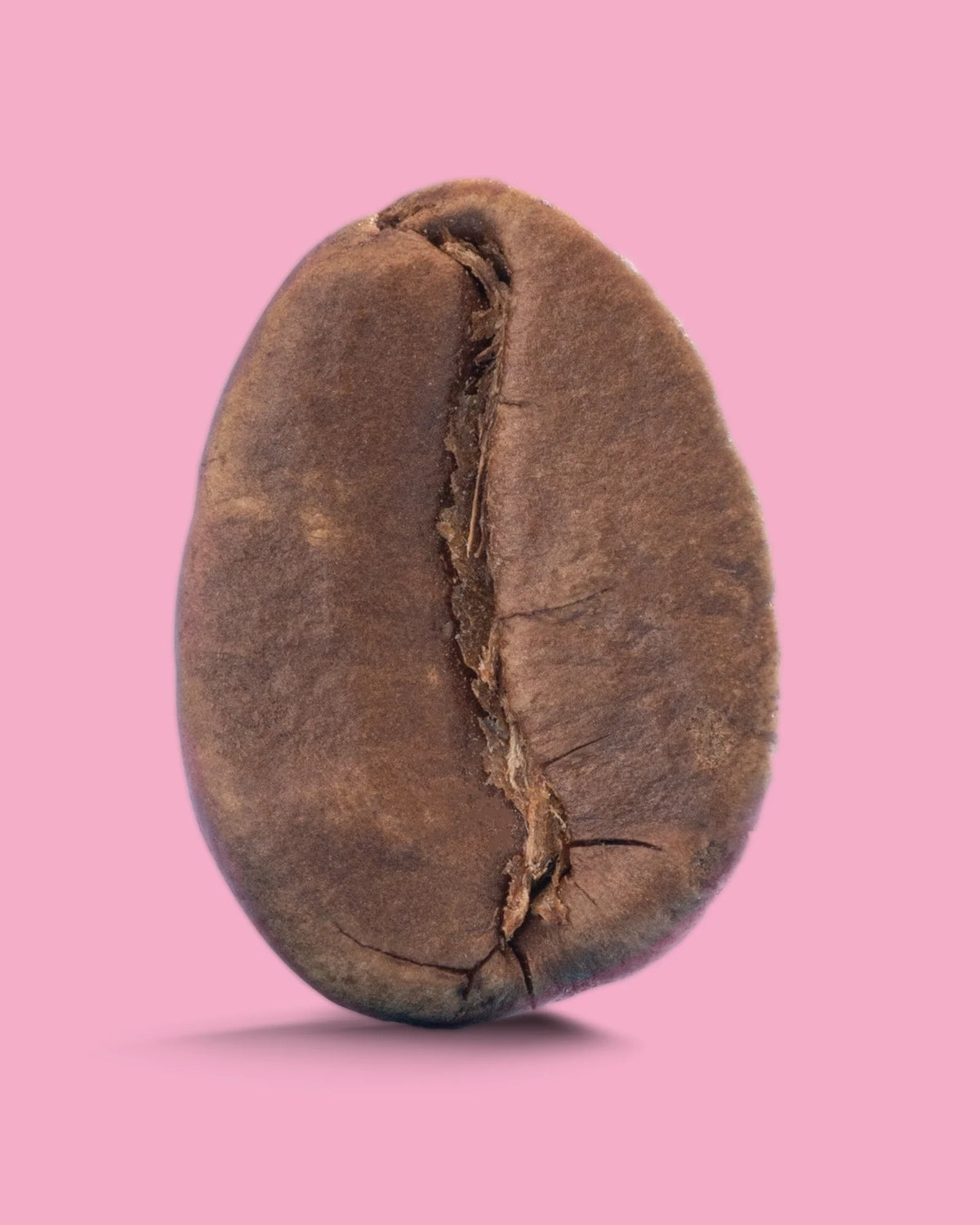 Medium dark roast coffee from Recent Beans, Son La G1, with rich, aromatic beans displayed in a vibrant Vietnam-themed image.