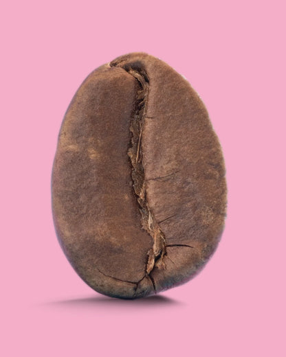 Medium dark roast coffee from Recent Beans, Son La G1, with rich, aromatic beans displayed in a vibrant Vietnam-themed image.