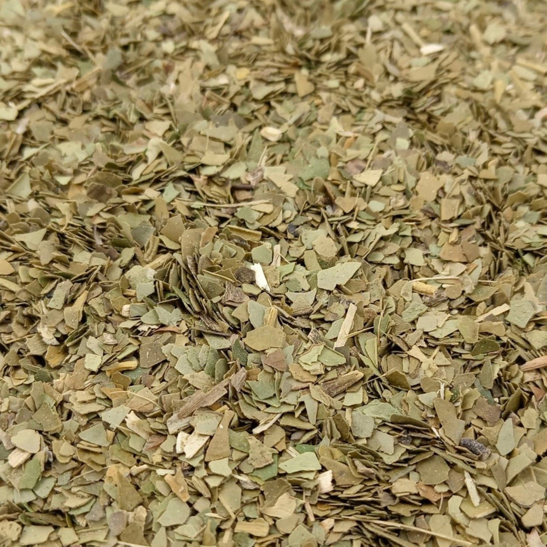 Loose leaf Yerba Mate herbal tea by Porter Hill Tea Company, showcasing vibrant green leaves and traditional packaging.