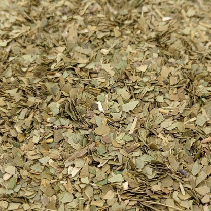 Loose leaf Yerba Mate herbal tea by Porter Hill Tea Company, showcasing vibrant green leaves and traditional packaging.