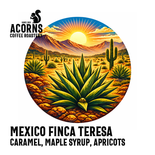 Medium roast Mexico Finca Teresa coffee beans by Acorns Coffee & Cake with caramel, maple syrup, and apricots.