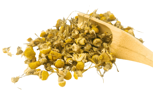 Organic chamomile herbal tea in a transparent glass cup with dried chamomile flowers, from Porter Hill Tea Company.