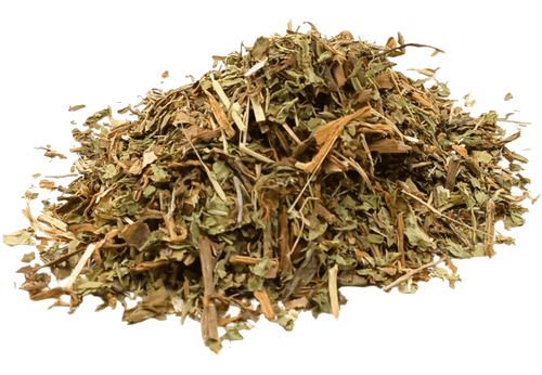 Fresh organic dandelion leaves for herbal tea from Porter Hill Tea Company, shown in a transparent container.