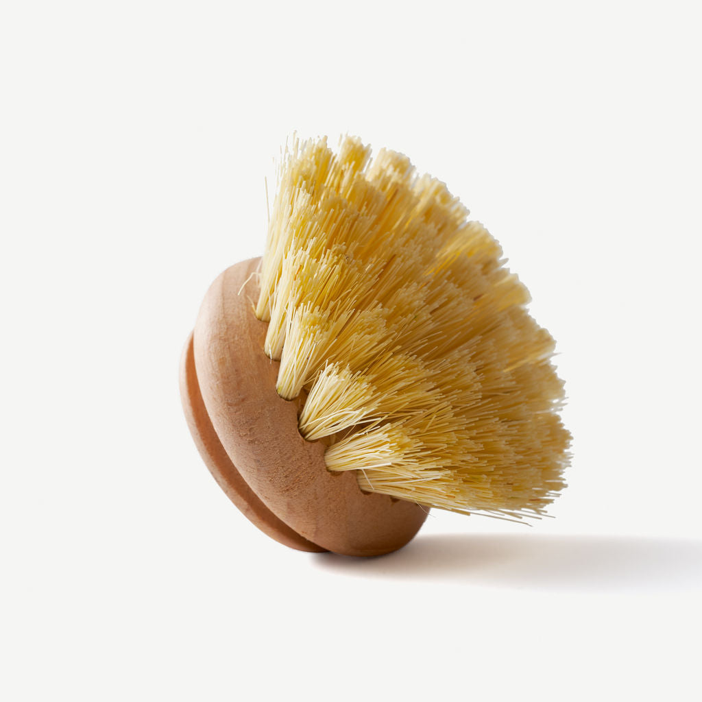 Wooden dish brush with replaceable head from Wild And Stone, featuring natural wooden handle and bristle cleaning surface.