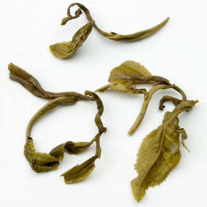 Unfurled Jasmine Dragon Pearl green tea leaves from PekoeTea Edinburgh, showcasing delicate, hand-rolled jasmine-infused tea pearls.