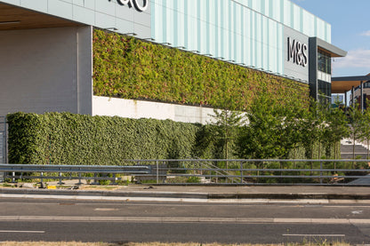 LivePanel outdoor wall art by Botanical Boys, a lush green living wall panel installed at a shopping centre in the UK.