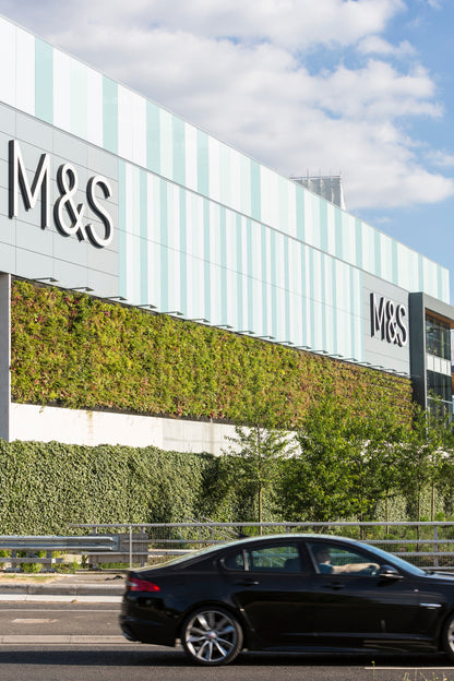 LivePanel outdoor living wall by Botanical Boys, green wall art with lush foliage for modern outdoor spaces.