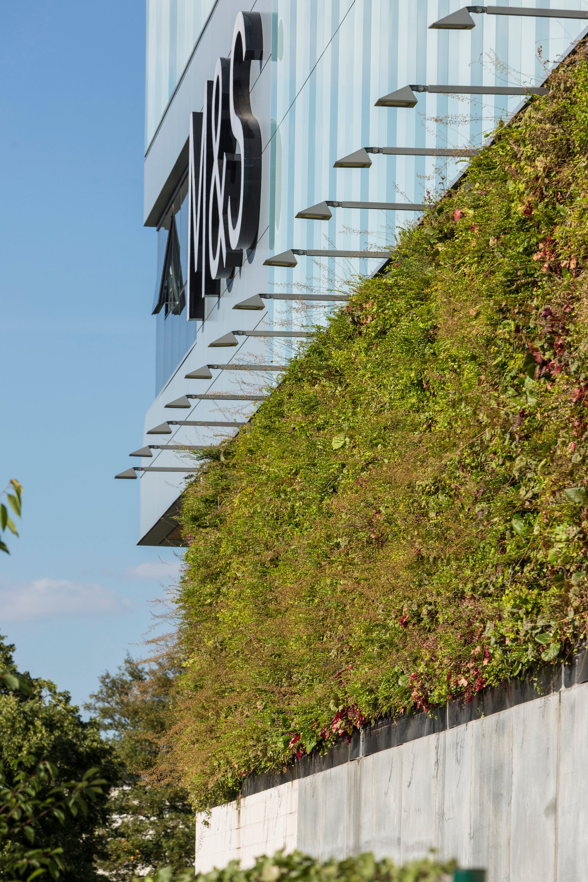 LivePanel outdoor living wall art by Botanical Boys featuring lush green foliage on a modern wall at a shopping centre.
