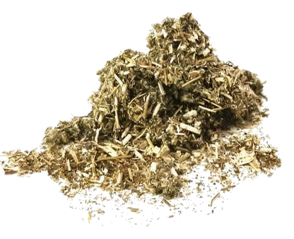 Mugwort Tea