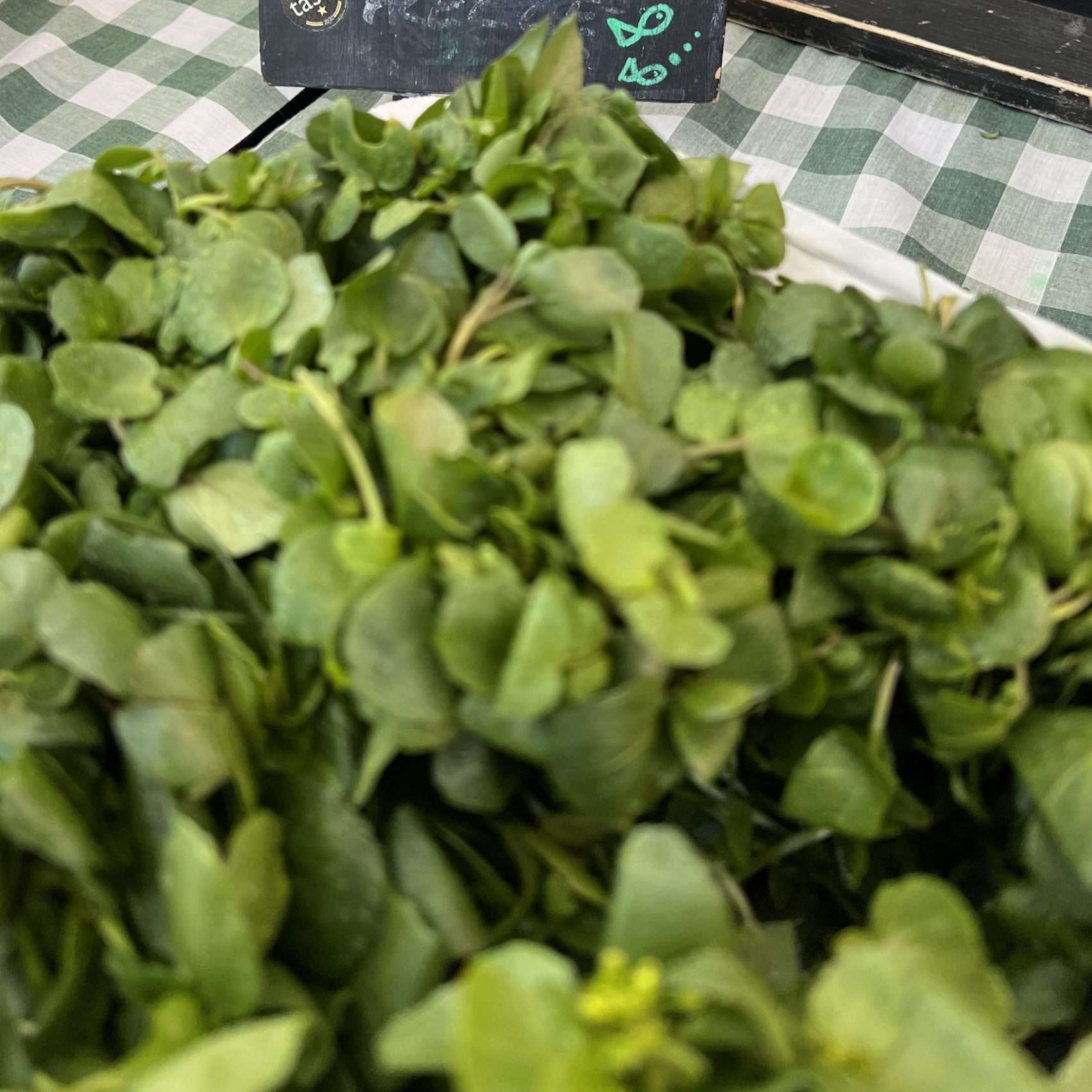 Fresh watercress from Butler Country Estates, vibrant green leafy vegetable, ready for salads and sandwiches.