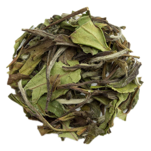Dried Pai Mu Dan white tea leaves from PekoeTea Edinburgh, displayed in a loose leaf tea image.