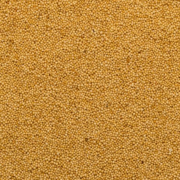 Raw organic amaranth grains from Whole Food Earth, gluten-free and non-GMO, shown in a close-up image.