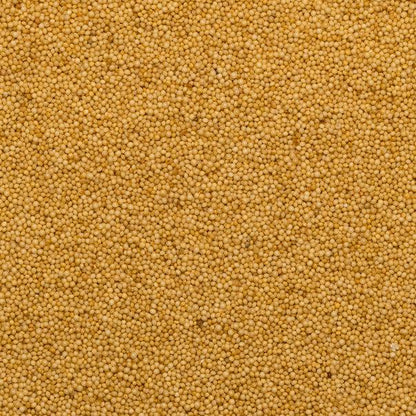 Raw organic amaranth grains from Whole Food Earth, gluten-free and non-GMO, shown in a close-up image.