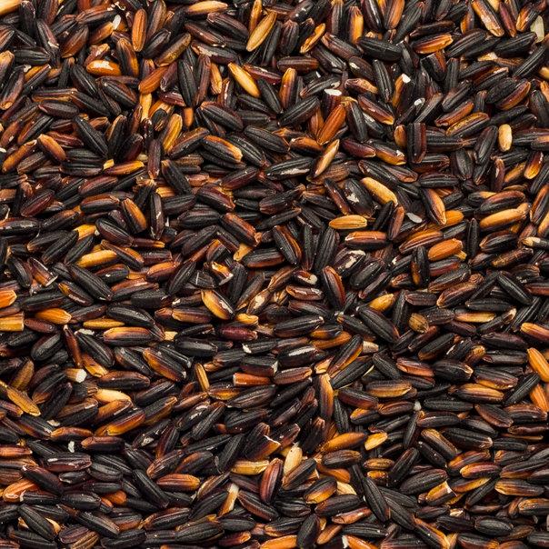 Organic black glutinous rice from Whole Food Earth, raw and GMO-free, displayed in a natural setting with rice grains visible.