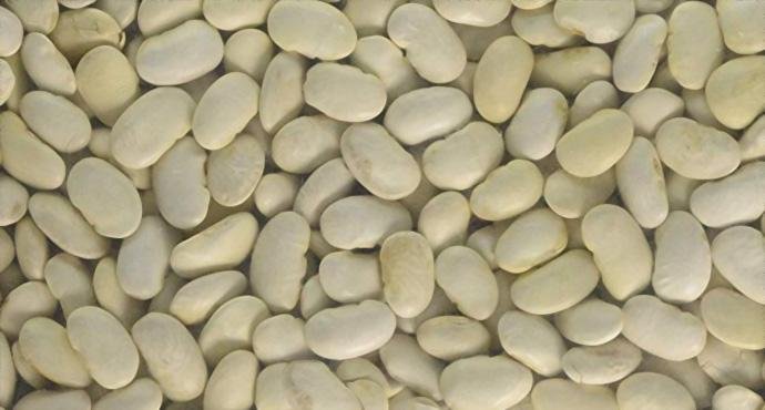Organic butter beans by Whole Food Earth, plump and creamy beans in a natural setting, emphasizing GMO-free and organic quality.