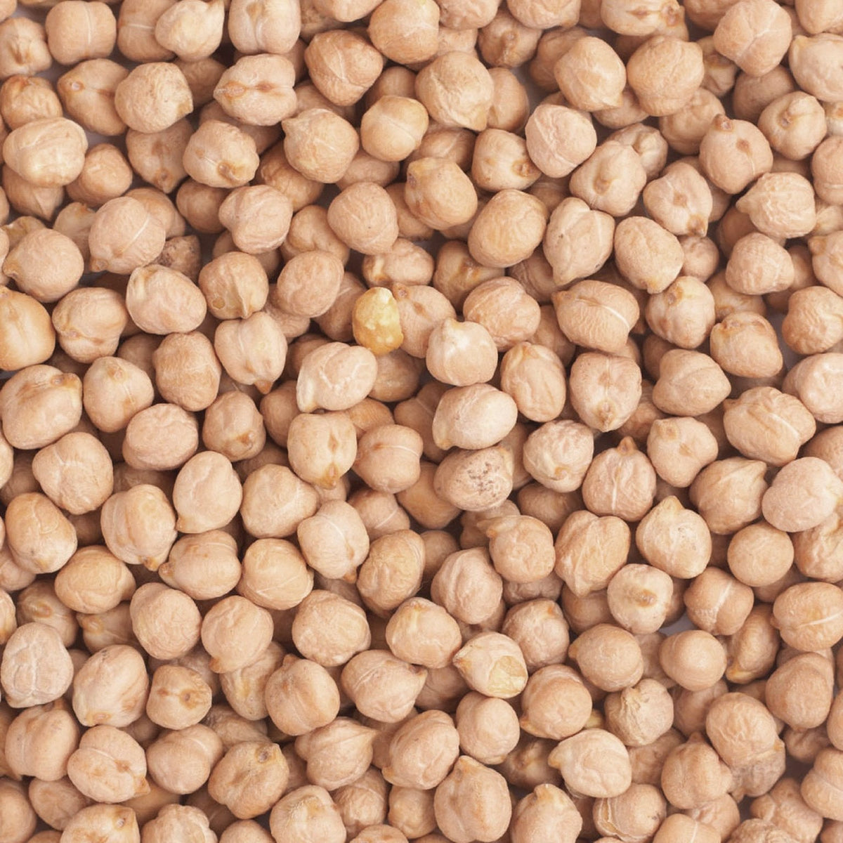 Organic chickpeas from Whole Food Earth, display of light tan, dried legumes in a bowl on a rustic wooden surface.