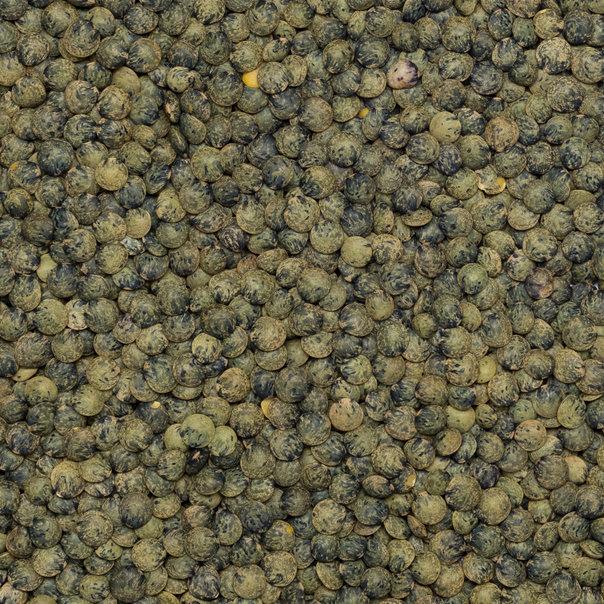 Organic dark green French style lentils from Whole Food Earth, displayed in a bowl with some lentils spilled around.