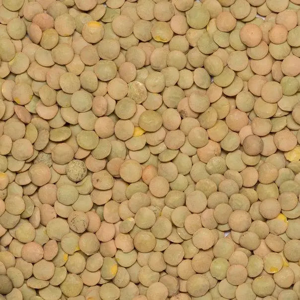 Organic green lentils from Whole Food Earth, showing a close-up of fresh, green beans and pulses in a natural setting.