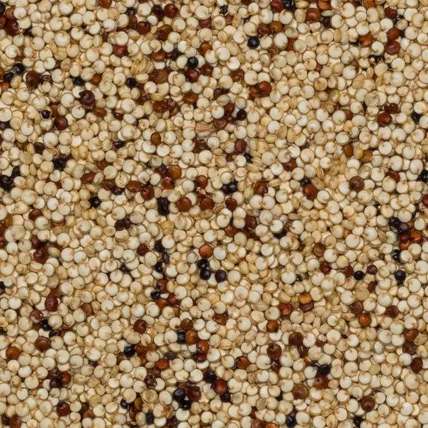 Tri-color organic quinoa grains from Whole Food Earth, raw, GMO-free, vegan-friendly, in a clear view of the grains.