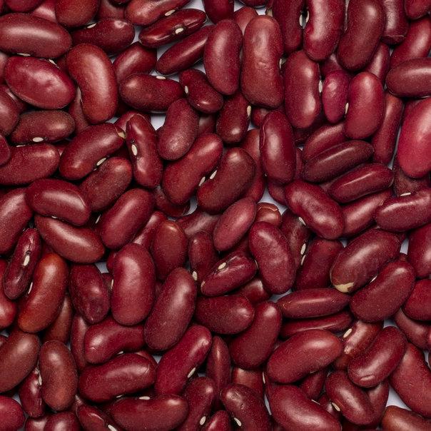 Raw organic red kidney beans from Whole Food Earth, dark red, GMO-free, and suitable for vegan recipes.