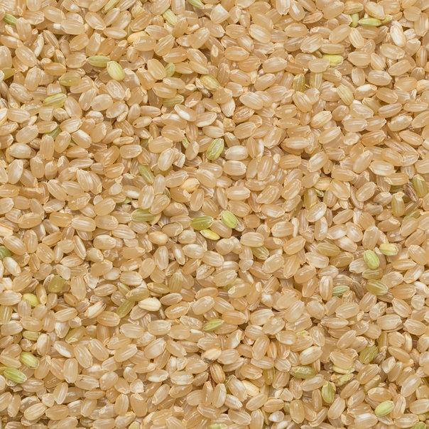 Whole Food Earth short grain brown rice, GMO-free, natural, vegan, dairy-free, in a clear bag, ready for cooking and healthy meals.