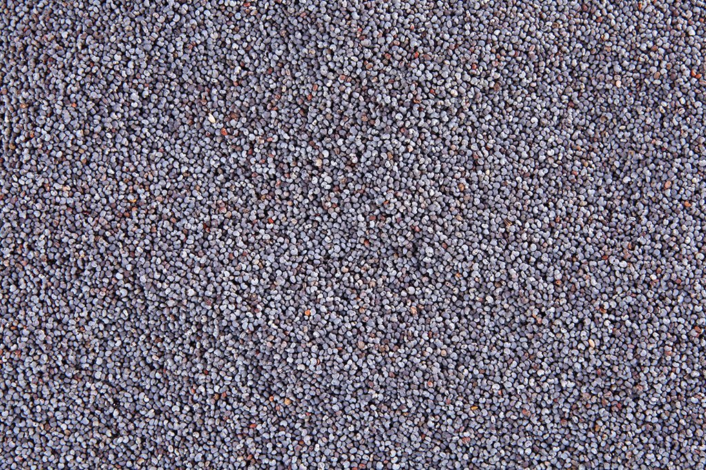 Unwashed, raw poppy seeds from Whole Food Earth, GMO-free nuts and seeds product, showing a close-up of tiny blue-gray seeds.