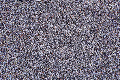 Unwashed, raw poppy seeds from Whole Food Earth, GMO-free nuts and seeds product, showing a close-up of tiny blue-gray seeds.